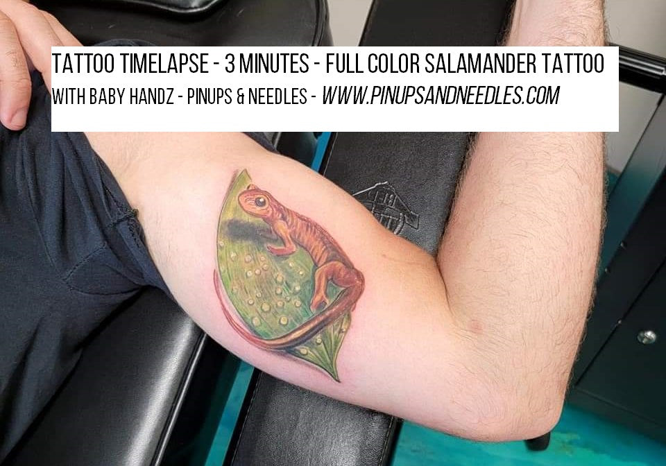 Tattoo Timelapse Full Color Salamander Tattoo With Baby Handz - Pinups & Needles