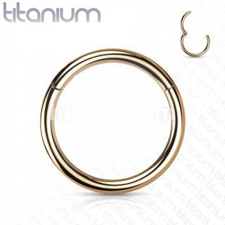 Hinged Hoop - Rose Gold Anodized - 20g - Implant Grade Titanium Hinged Segment Ring - 8mm-10mm