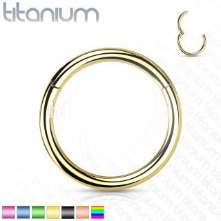 Hinged Hoop - Gold Anodized - 20g - Implant Grade Titanium Hinged Segment Ring - 8mm-10mm